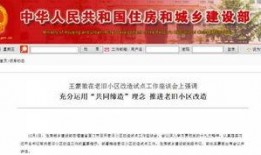 常宁新闻爆料最新消息,最新爆料揭示惊人真相！