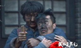 我不是王毛在线观看,揭秘网络热剧背后的真实人生